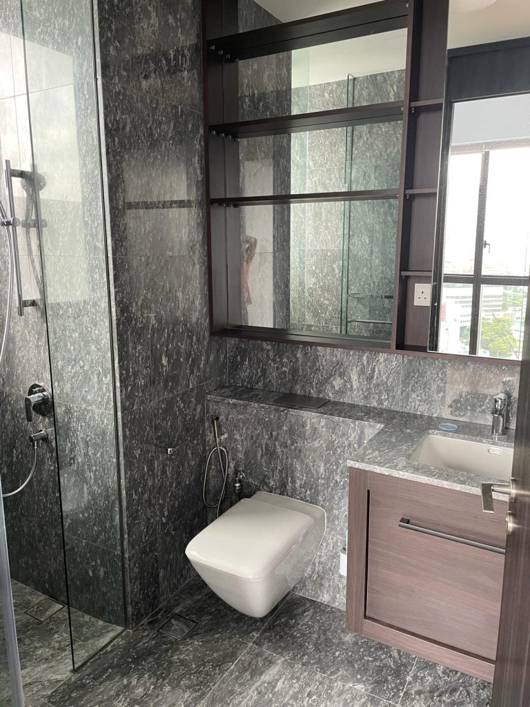 Master Toilet 2